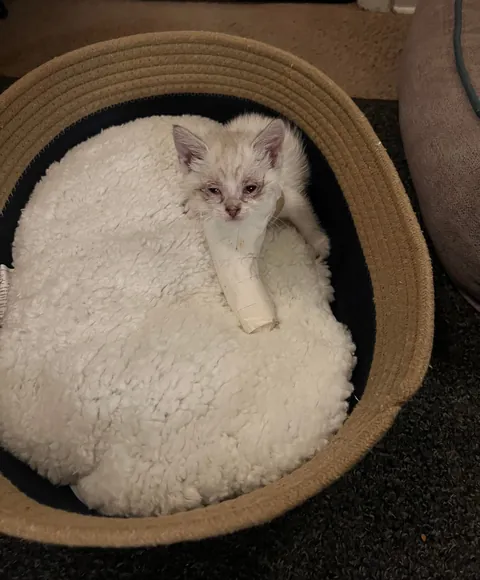 Update on the road warrior found yesterday