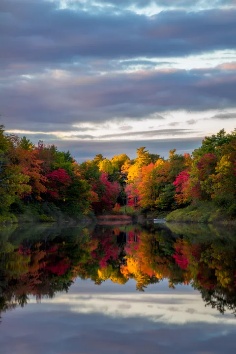 This is why fall is my favorite season in Maine! [OC] [4016x6016]