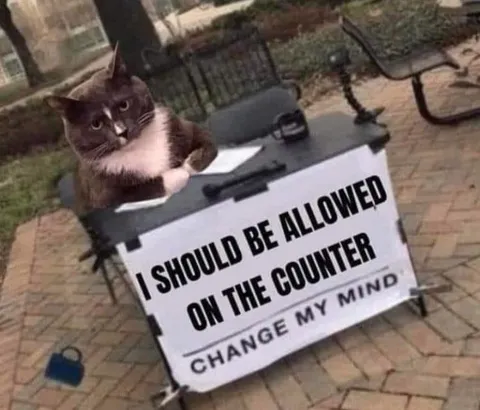 I lost this battle a long time ago.