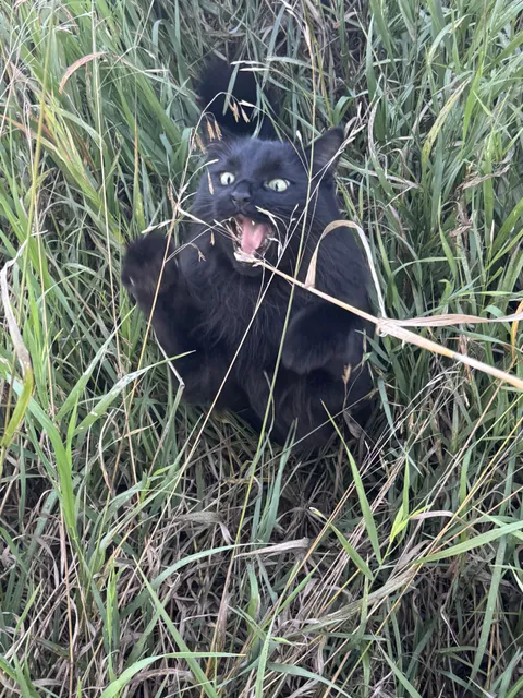 Best photo I’ve ever taken