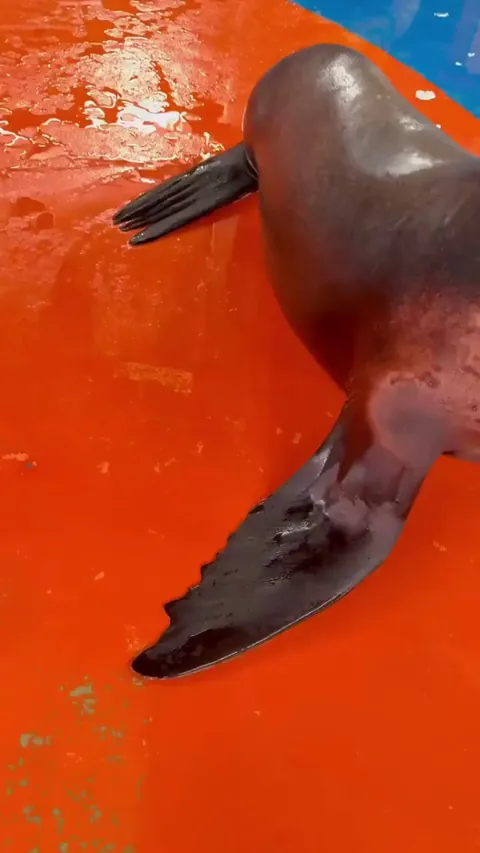 Bro got caught smooching and then emoted 😆