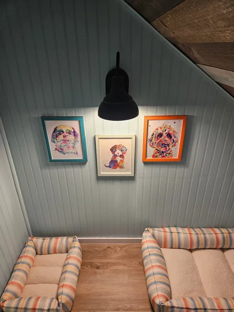 Understairs Doghouse