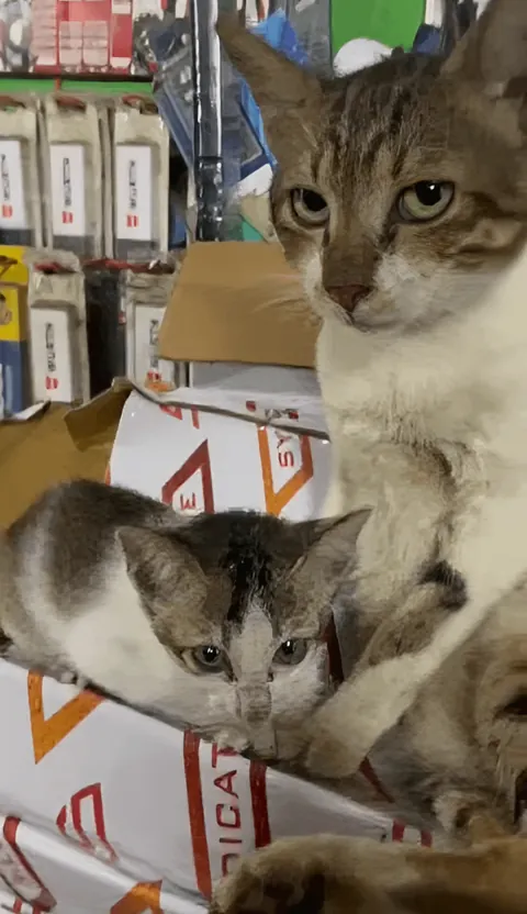 People asked for more photos of garage employees!