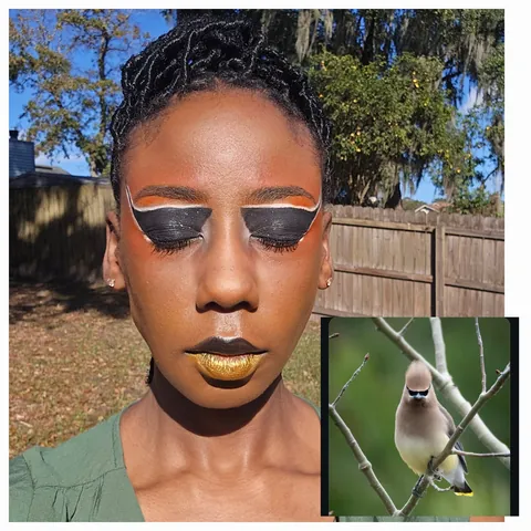 Cedar Waxwing inspired look