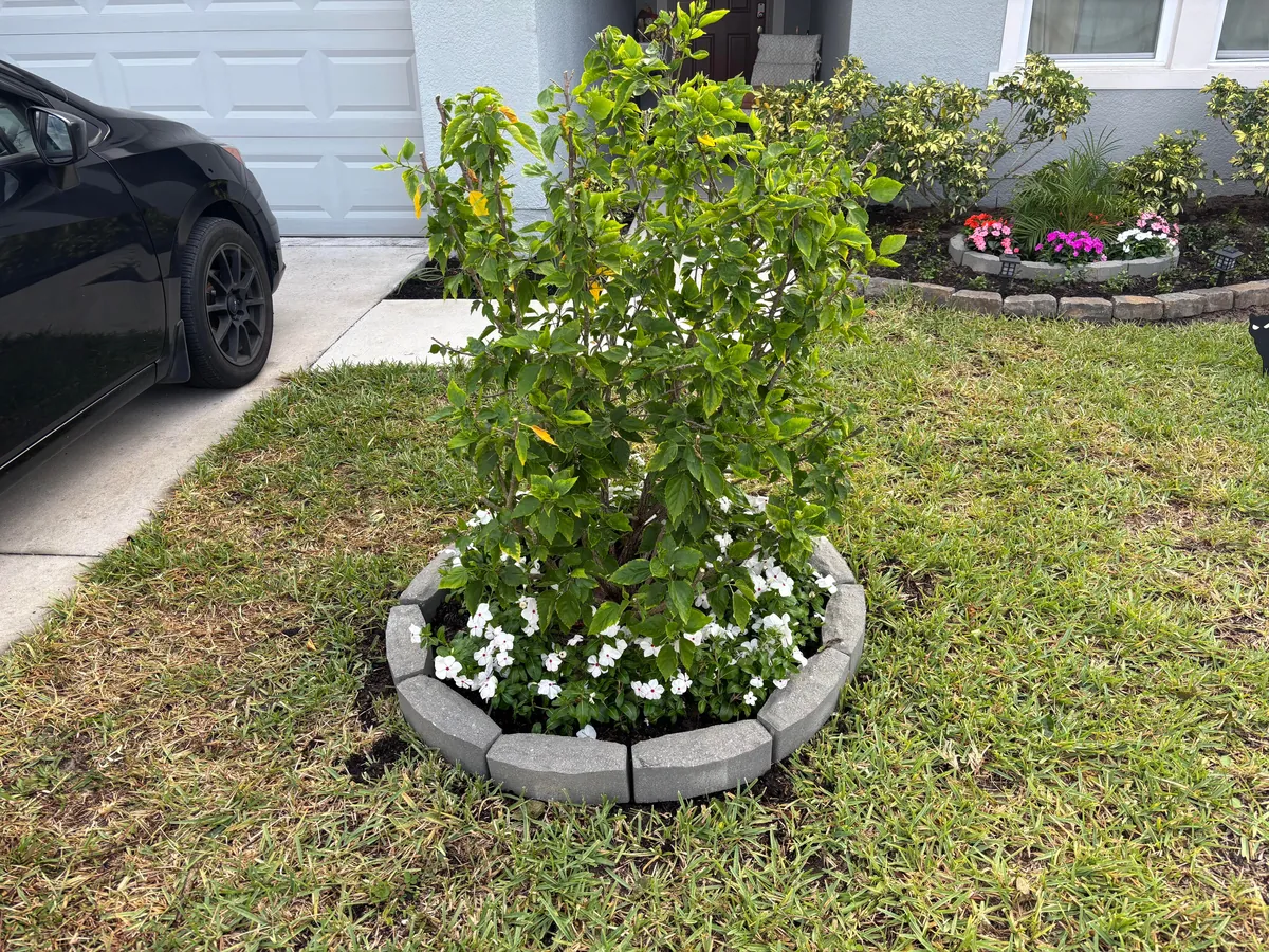 A whole day spent gardening. Before and after!