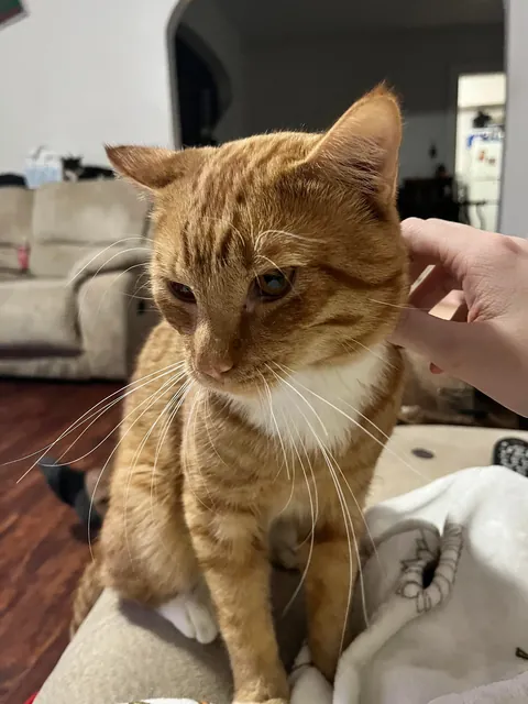 Why are my boys whiskers SO long?