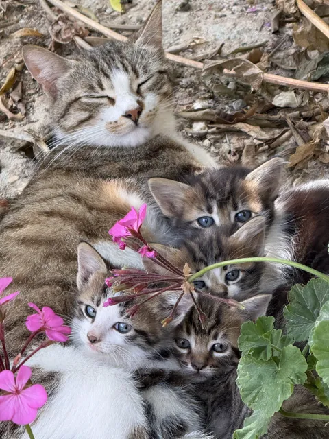 Proud mom of four relaxing in my neighbor’s backyard.