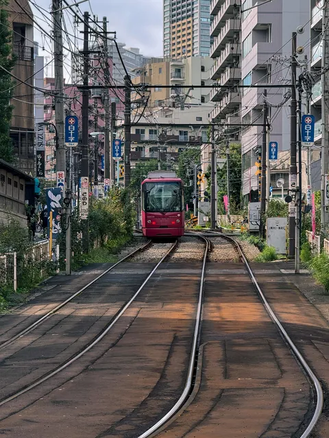 What do you think of this photo