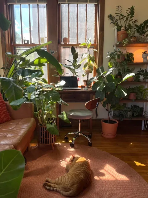 In love with our new Chicago sunroom! (OC)
