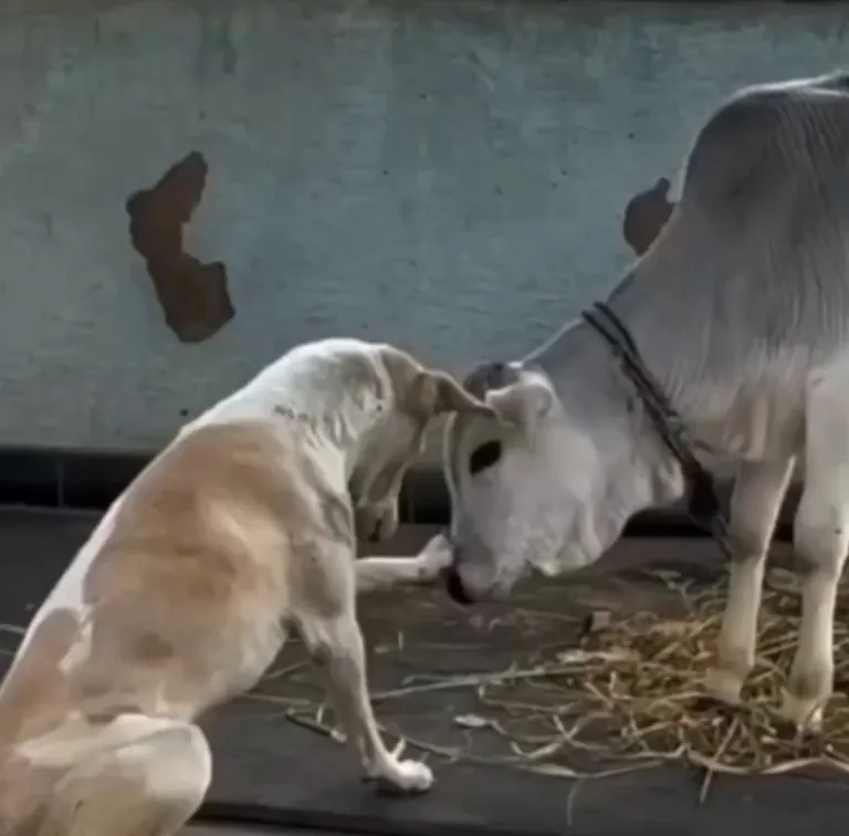 Ohhh yeah...that's the spot!