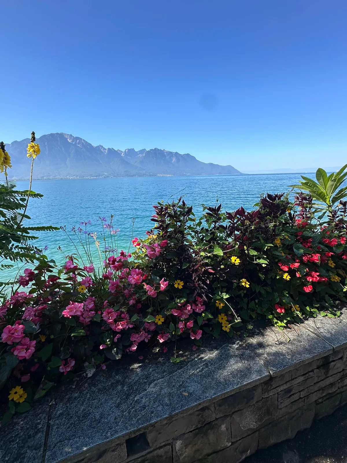 Switzerland is breathtaking 🌺 🏔️