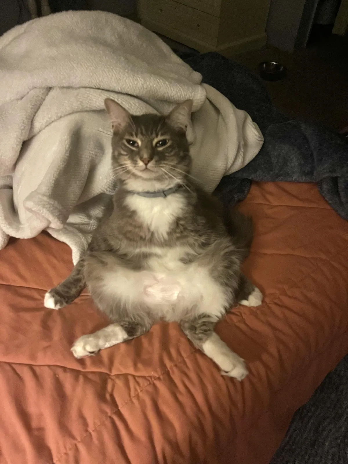 Idek what to call this