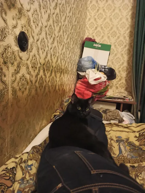 Is it because we named him Crisis?