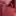 holy asian tittyshot