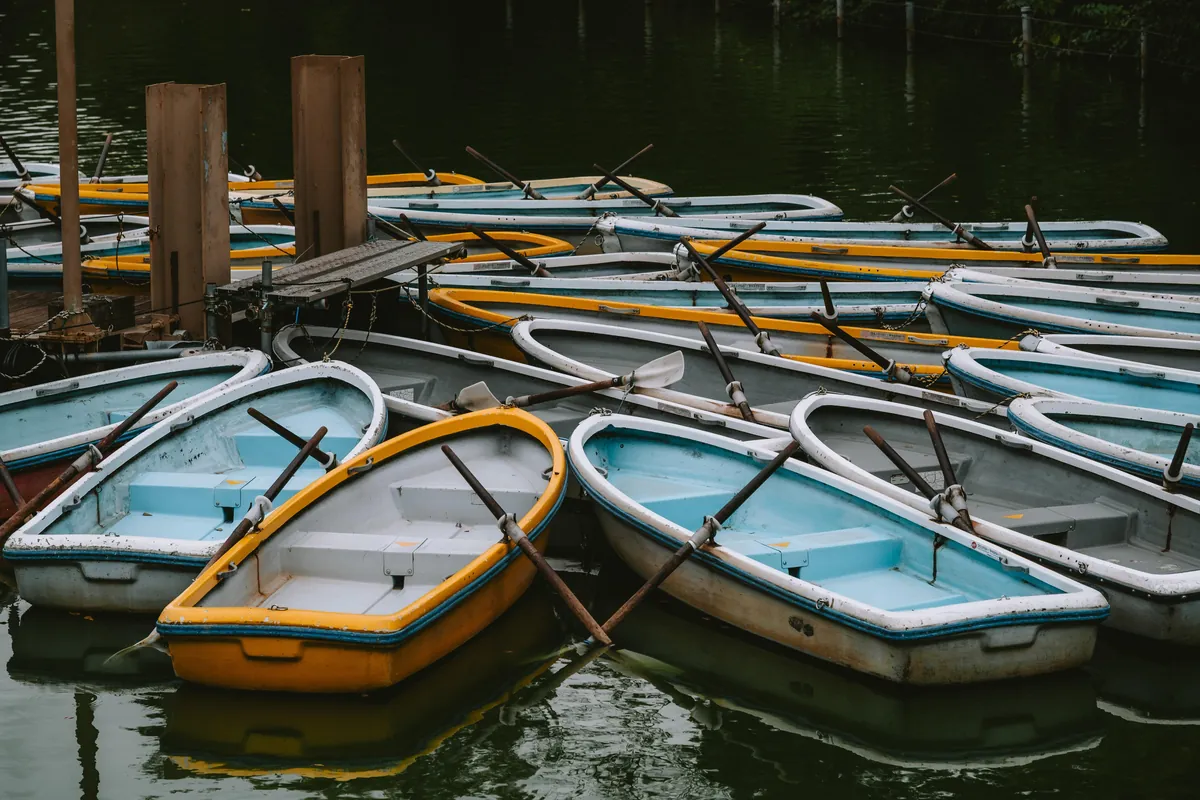 An incredible two weeks in Japan!