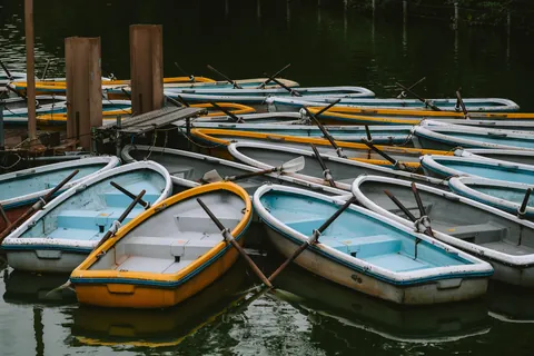 An incredible two weeks in Japan!