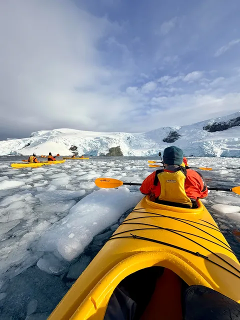 10 days in Antarctica: Wildlife, the Drake Passage and what the expedition was like [OC]