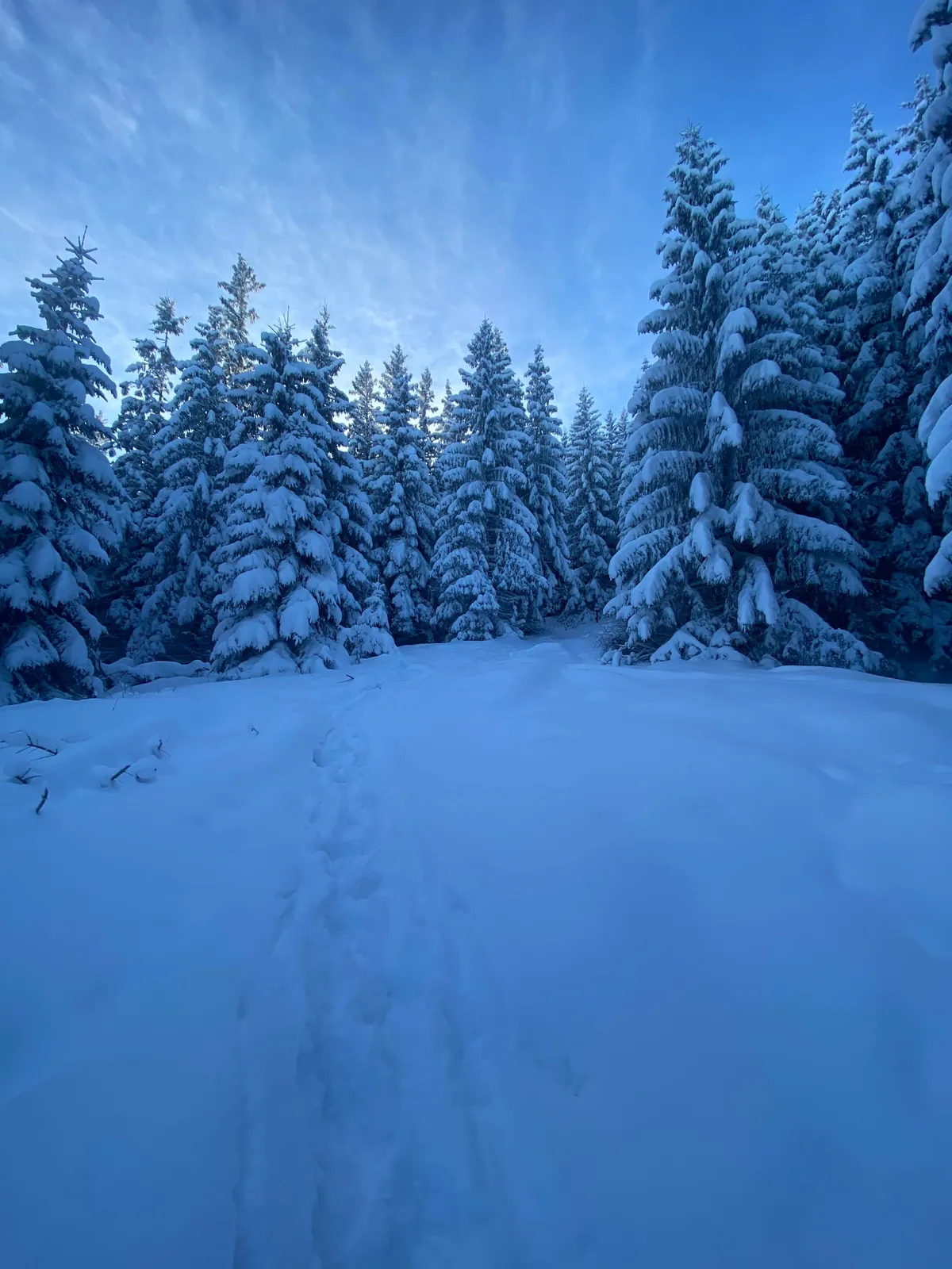 Four days in Poland (Warsaw, Krakow and Tatra mountains), late november 2024