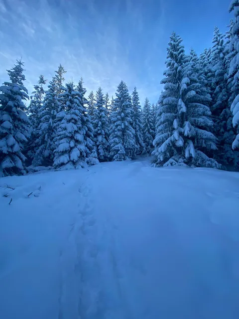 Four days in Poland (Warsaw, Krakow and Tatra mountains), late november 2024