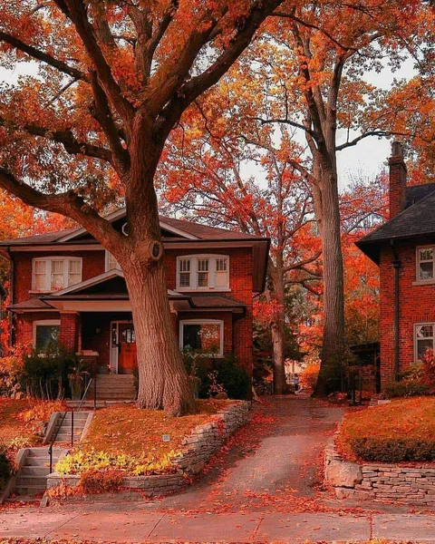 Relaxing Fall in Toronto