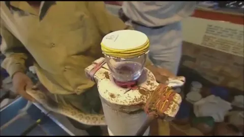 Effect of snake venom on blood