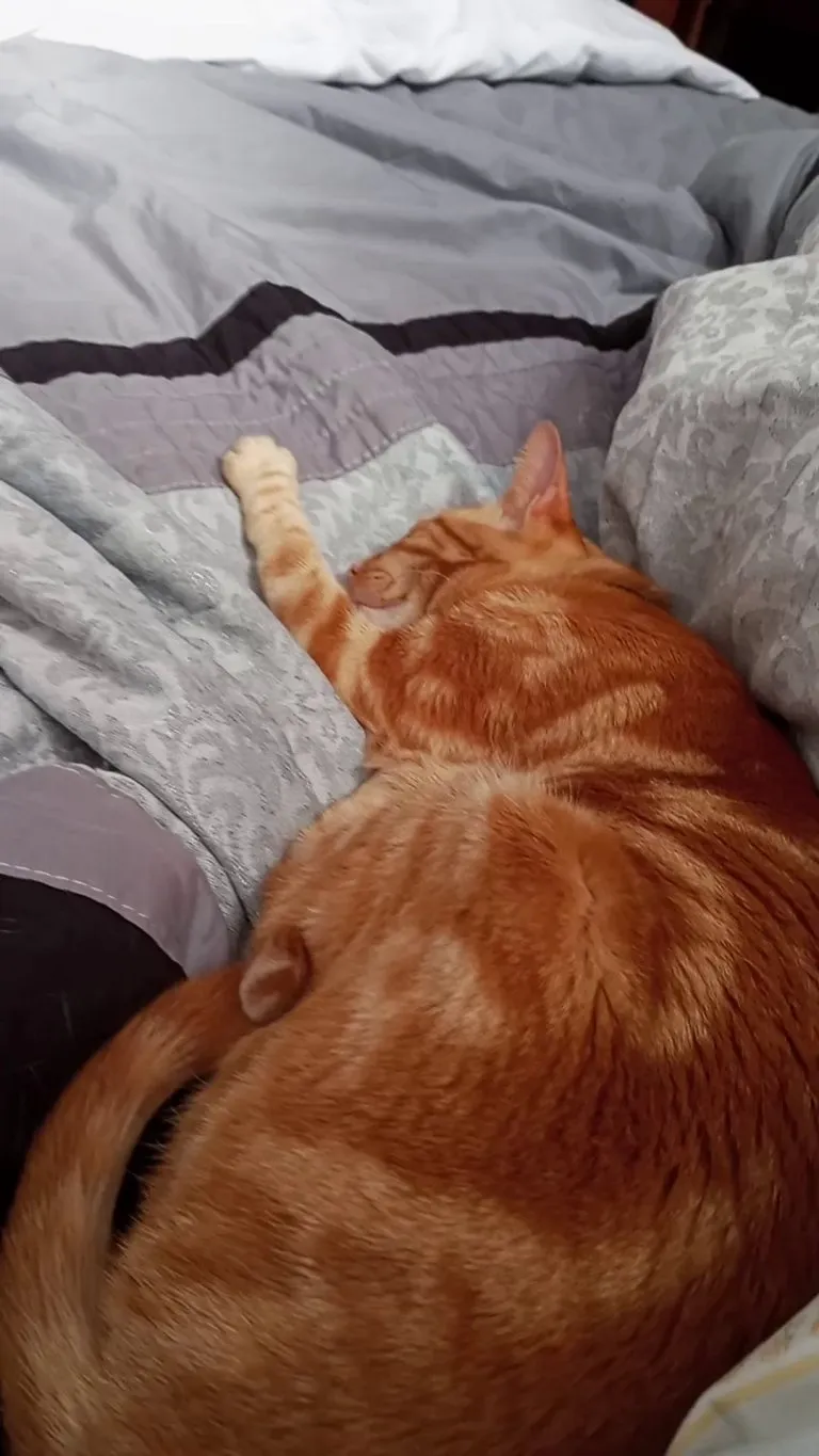 No thoughts just trust