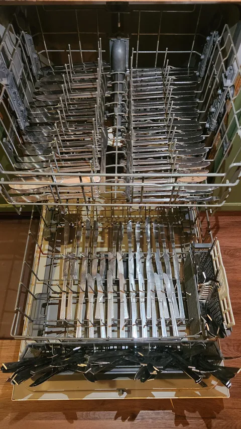 How my Fiancée loaded the dishwasher.