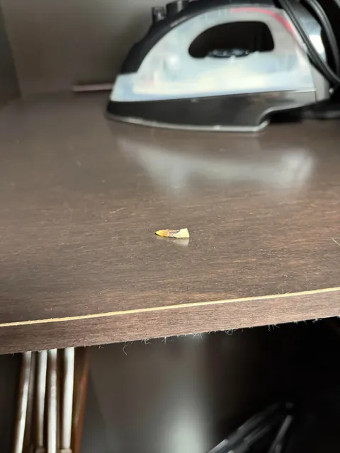Tooth found in hotel closet 🦷