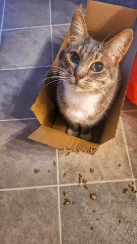 Office paper shredder 3000 after a long day of work