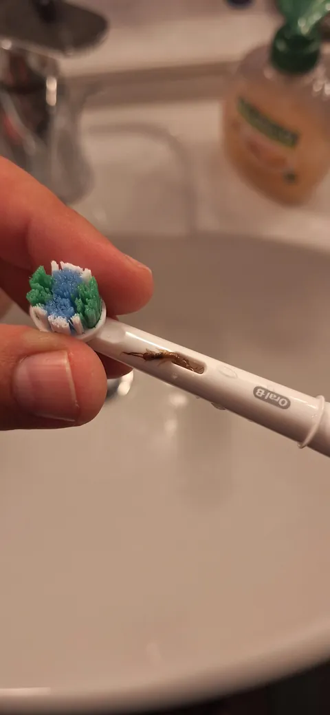 My wife just found this AFTER brushing her teeth...