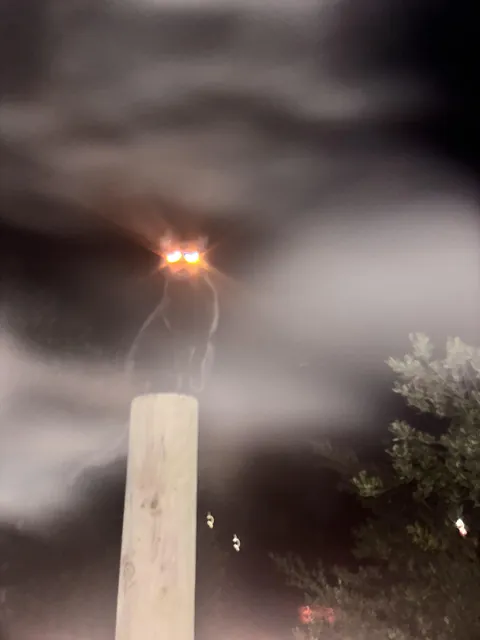 Best picture I’ve taken of her so far