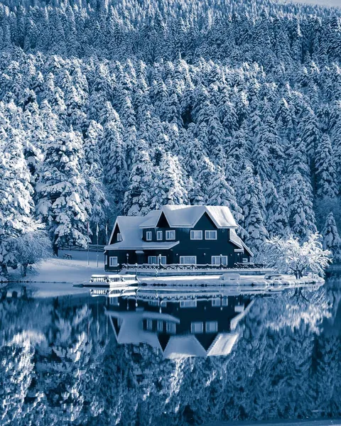 House by the lake in the winter wonderland