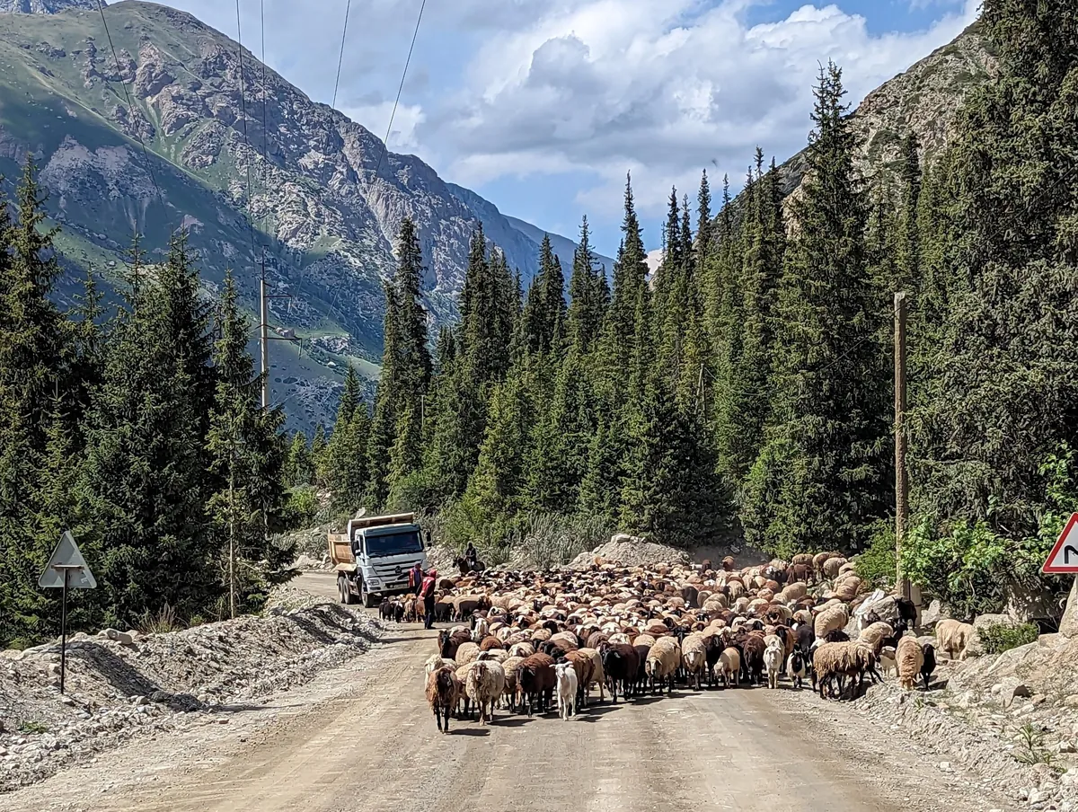 10 days in Kirghizistan with a 4WD