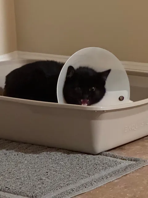 It Feels Like You Blink—Then Suddenly They’re Full-Sized!