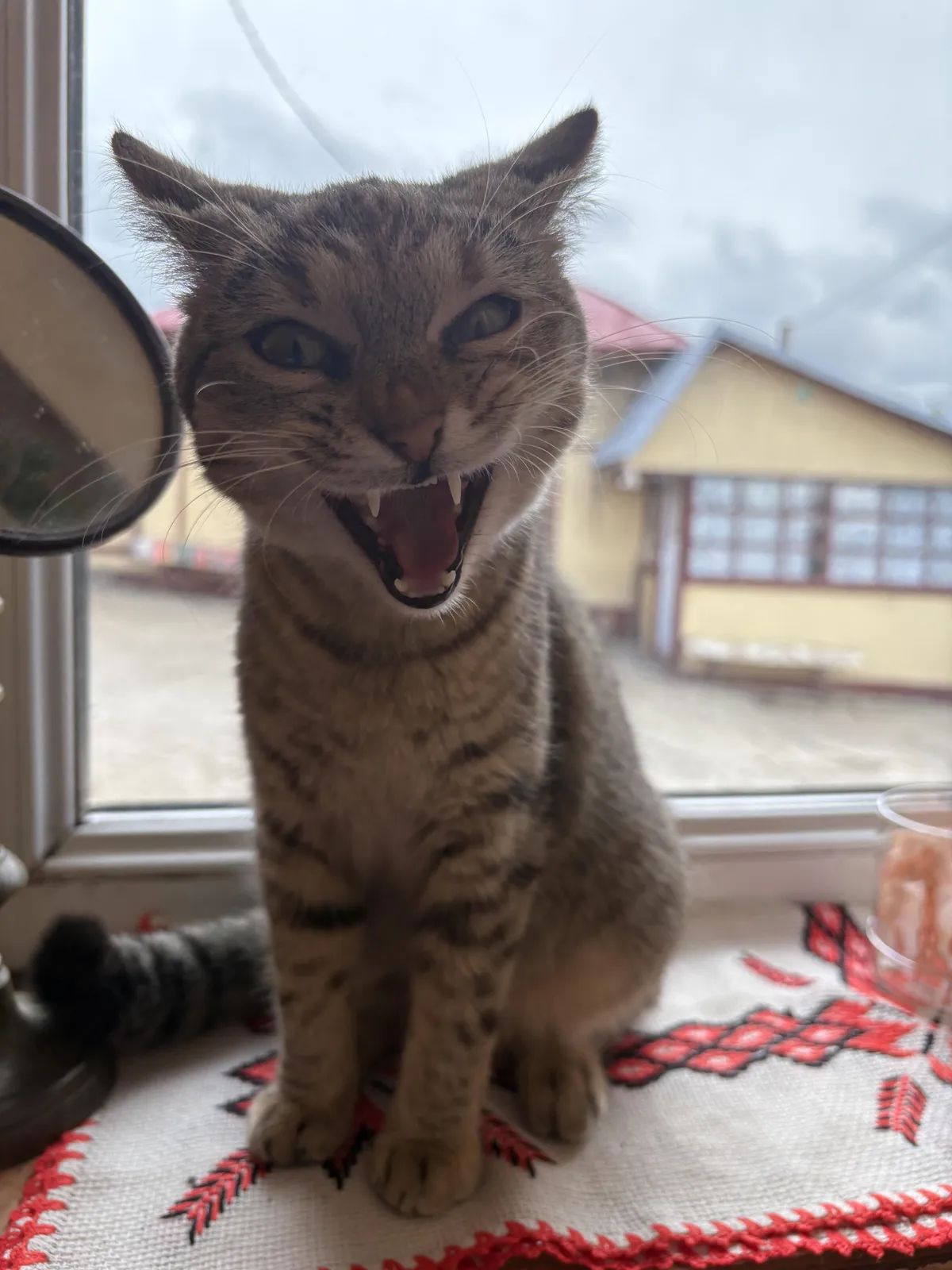 Acting as a vampire today 😆