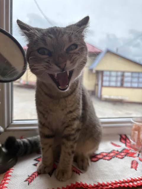 Acting as a vampire today 😆