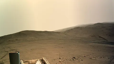 Latest Image from Mars