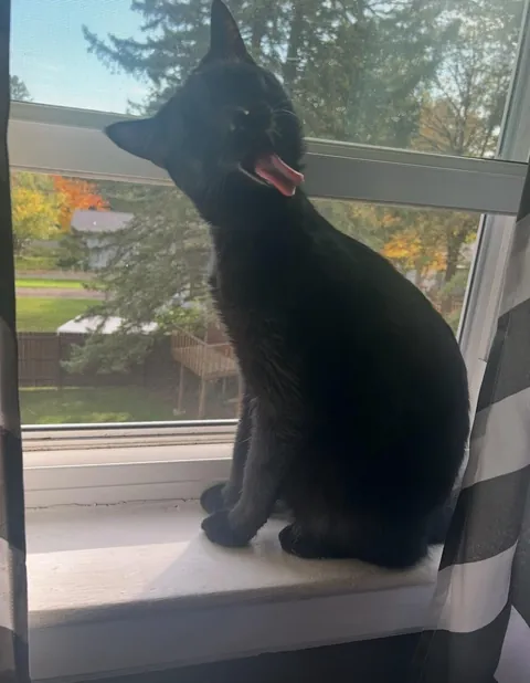 my very un-photogenic squidward