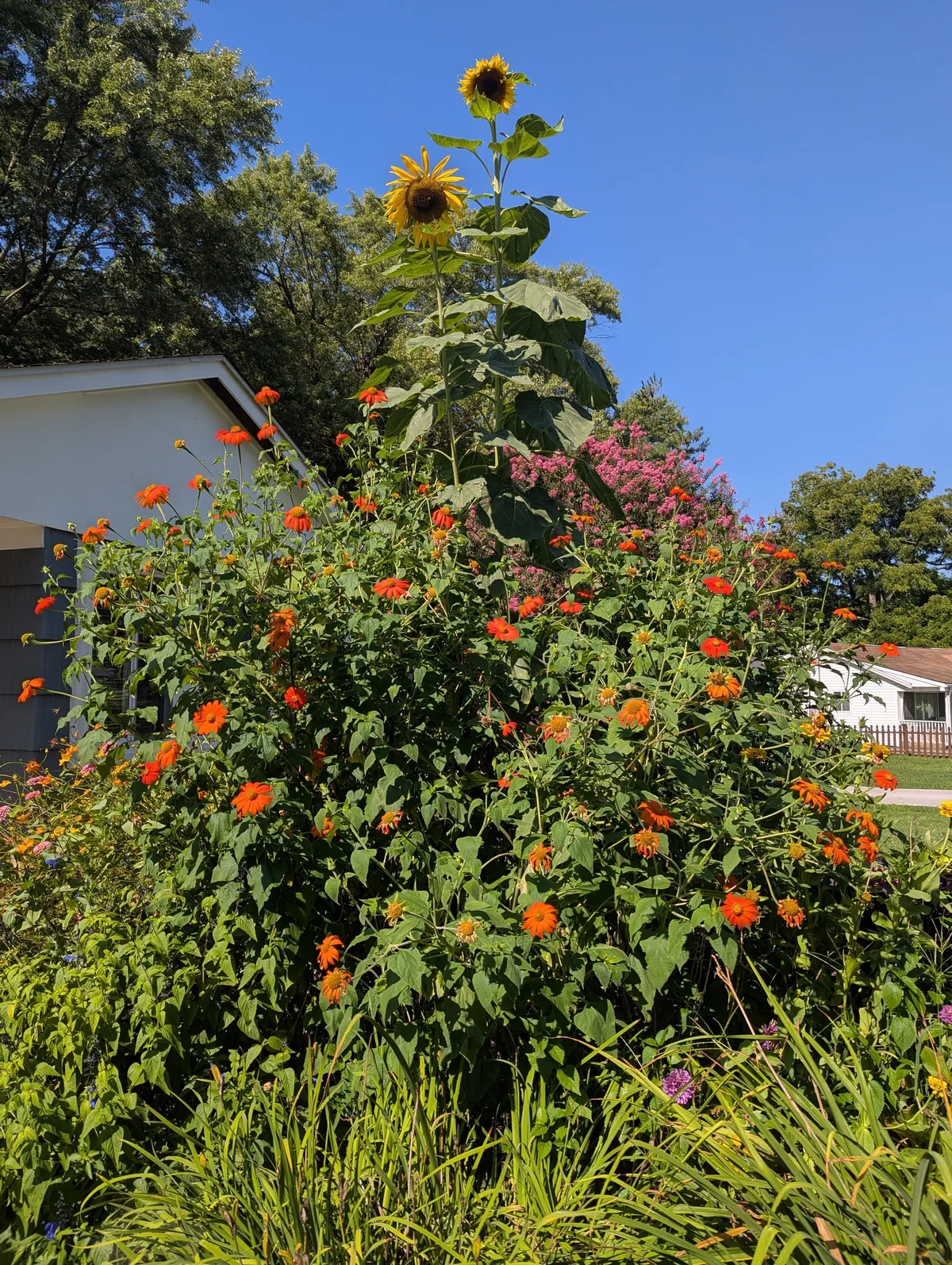 Just wanted to share some pics