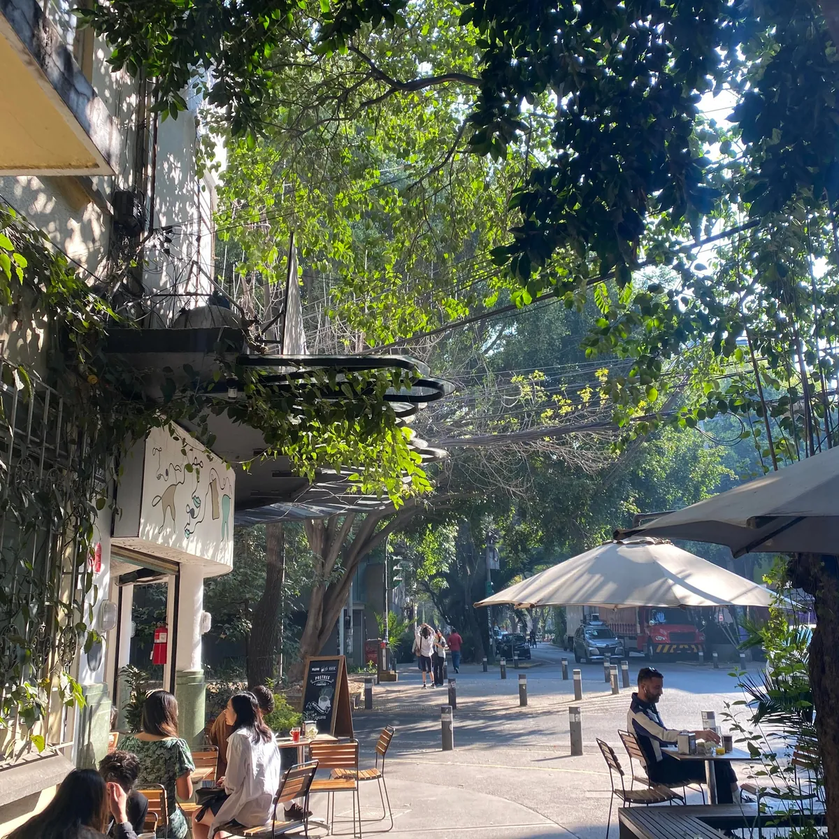 Mexico City had the Lushest, Greenest, Most Beautiful Neighborhoods I've Ever Seen
