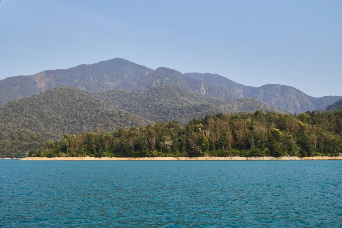 Taiwan - dense beauty