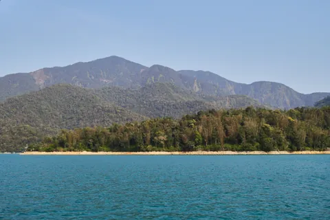 Taiwan - dense beauty