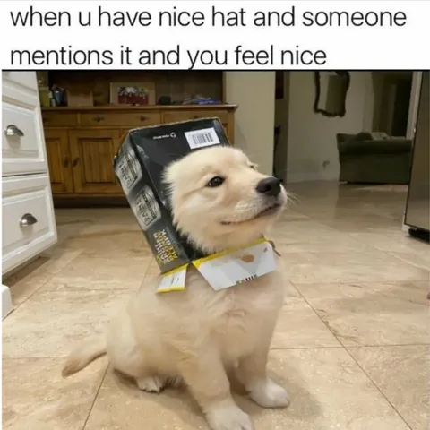 Hat