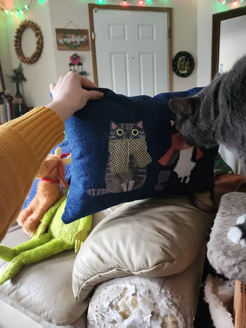 My mom sewed me a pillow with my kitties on it