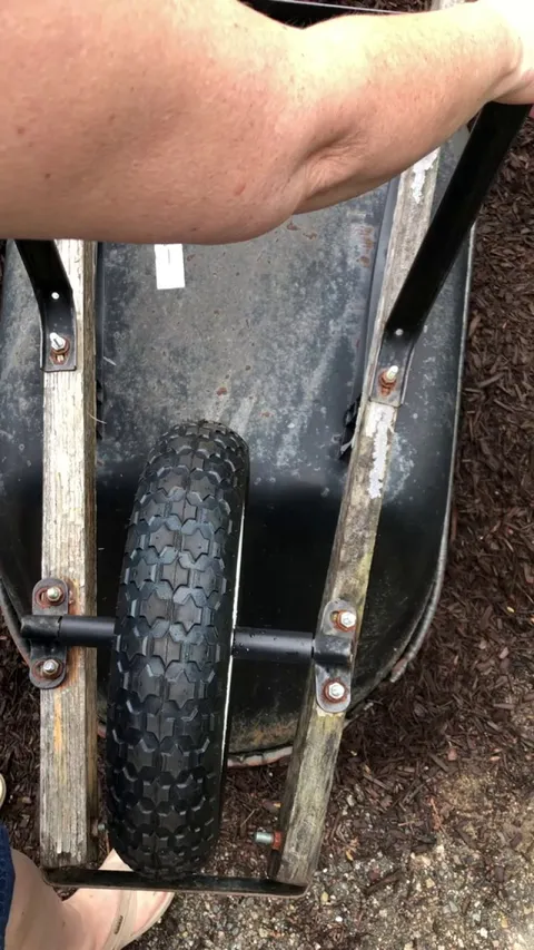 Update of the bunnies under the wheelbarrow in the mulch pile.