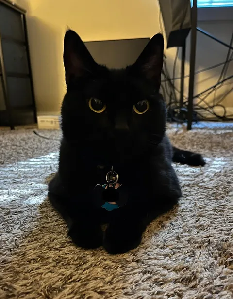 No one in my family had the appropriate reaction to how cute this photo is