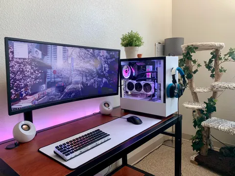 New monitor, new place, new cat tree. Tired cat.