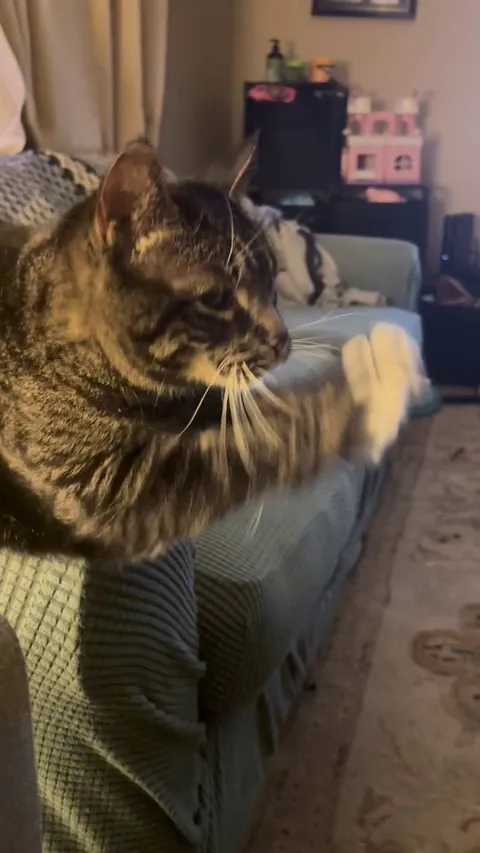 He just does this sometimes. Just for fun.