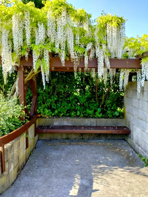 A bench I saw at a park