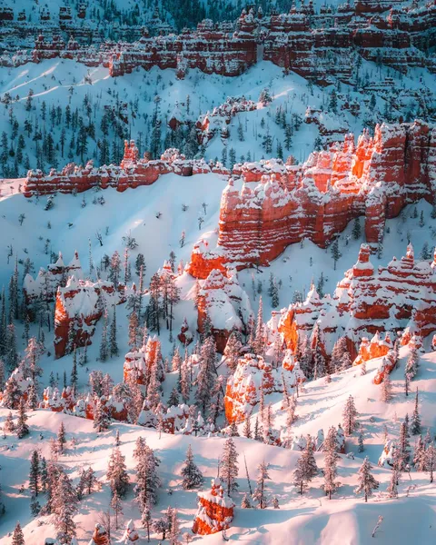 Fresh morning snow. Bryce Canyon National Park, Utah [1200x1500] [OC]
